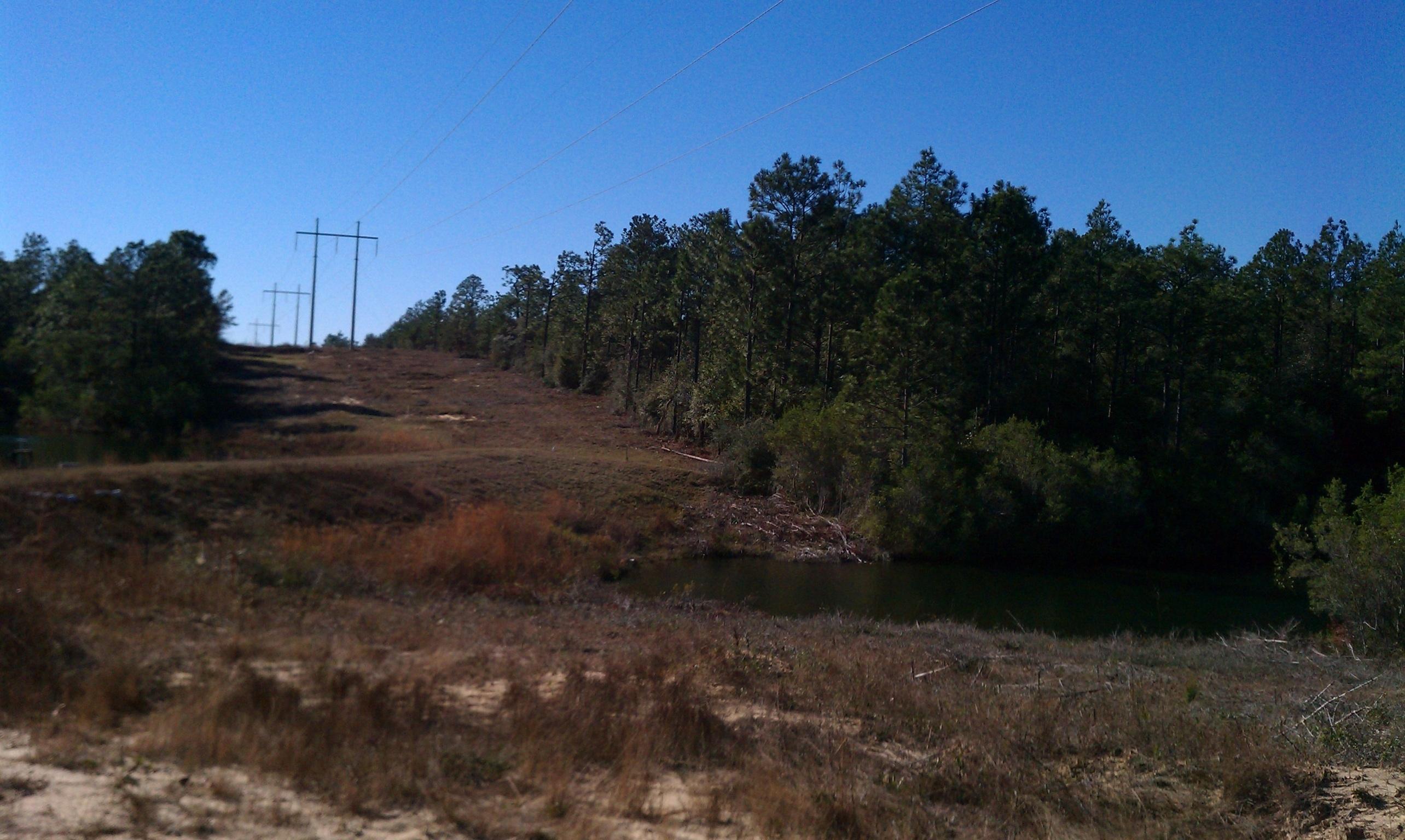 3.2-ac Mt Olive Road Crestview, FL 32539 - Photo 10 of 11 Mt olive property 11