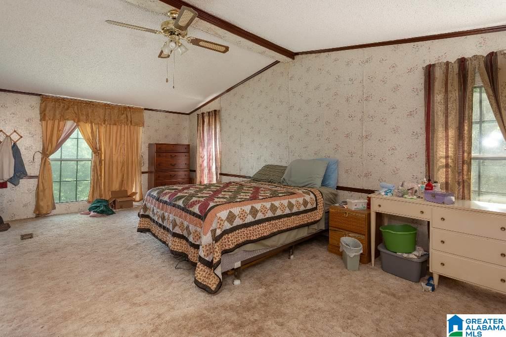 4485 Nisbet Lake Road Jacksonville, AL 36265 - Photo 13 of 34