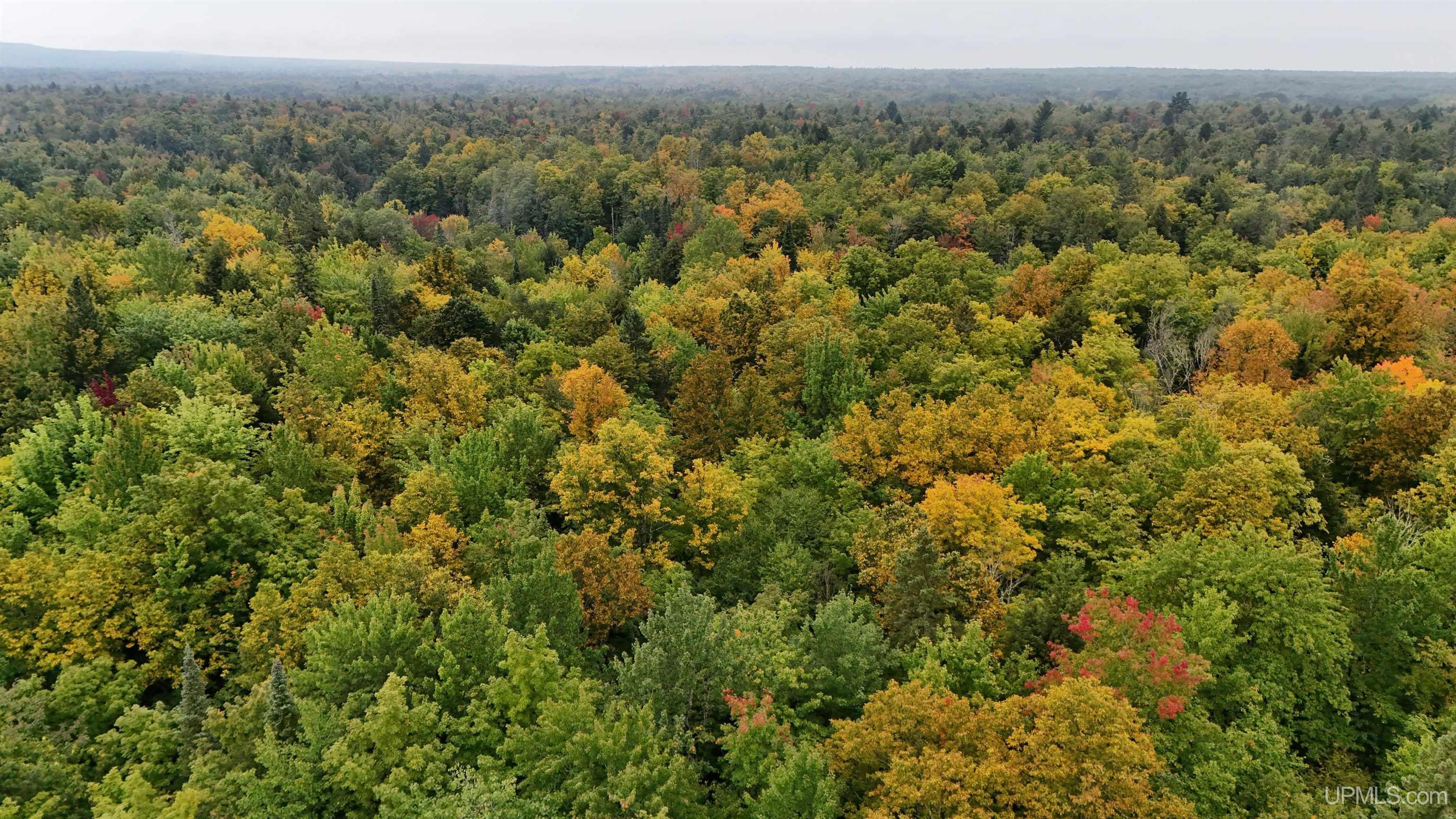 Tbd240 South Firesteel Road Ontonagon, MI 49953 - Photo 5 of 16