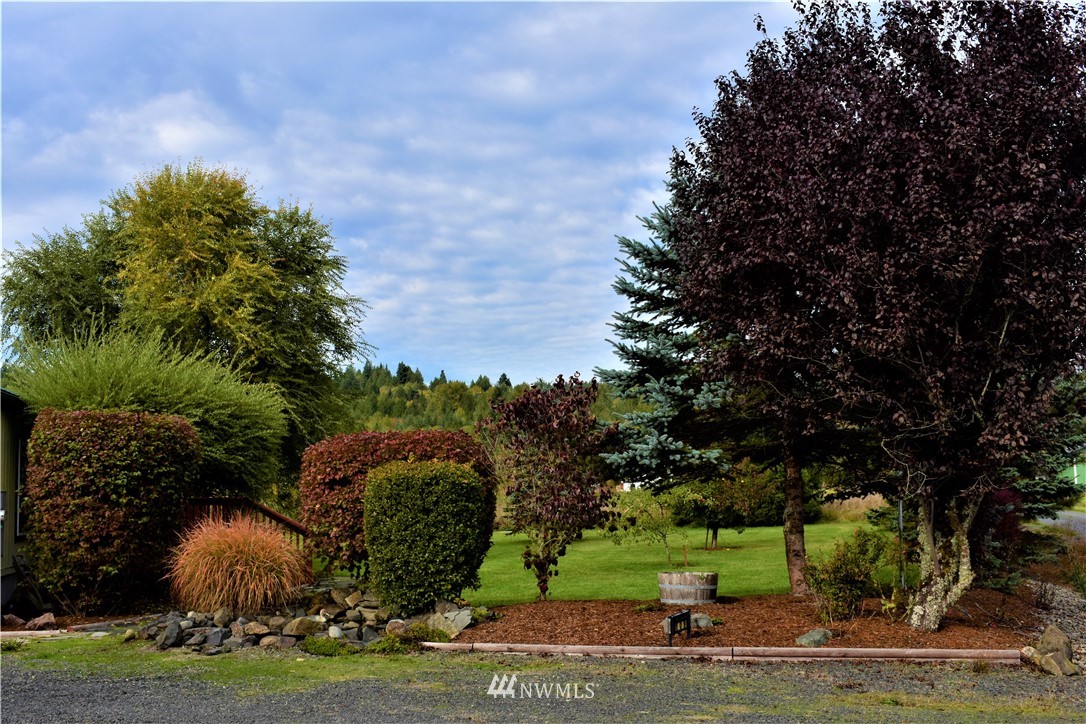 109 Faun Rae Lane Chehalis, WA 98532 - Photo 14 of 18 a view of a yard in front of a house