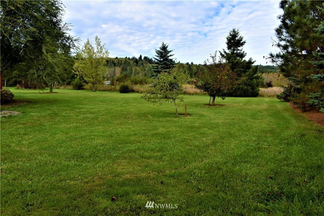 109 Faun Rae Lane Chehalis, WA 98532 - Photo 15 of 18 a view of field with tall trees