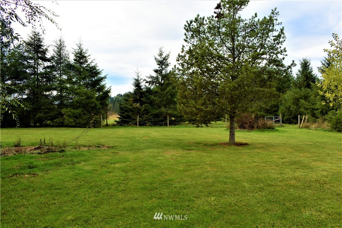 109 Faun Rae Lane Chehalis, WA 98532 - Photo 16 of 18 a view of a tree in a park