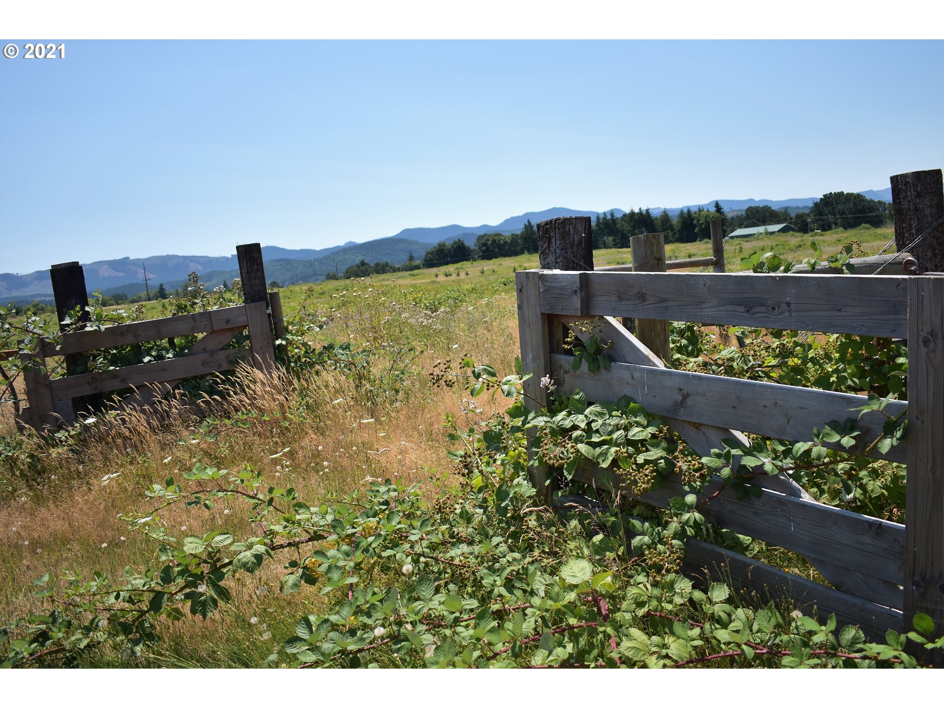 21315 Southwest Savage Road Sheridan, OR 97378 - Photo 27 of 28 Gallery Image 27