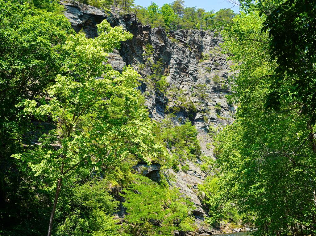 2804 Potts Creek Road Covington, VA 24426 - Photo 42 of 75 Gallery Image 42