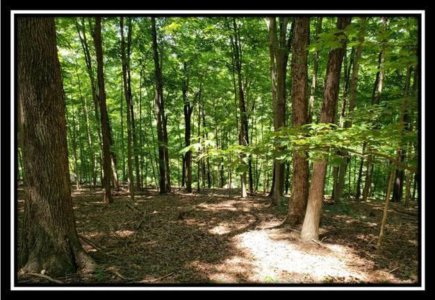 2020 Spud Run Road Chillicothe, OH 45601 - Photo 18 of 48 Gallery Image 18