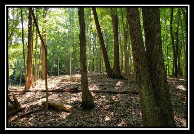 2020 Spud Run Road Chillicothe, OH 45601 - Photo 19 of 48 Gallery Image 19