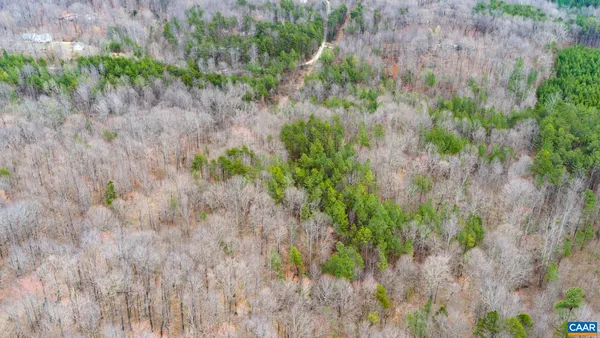 a view of a garden with a flower in a garden