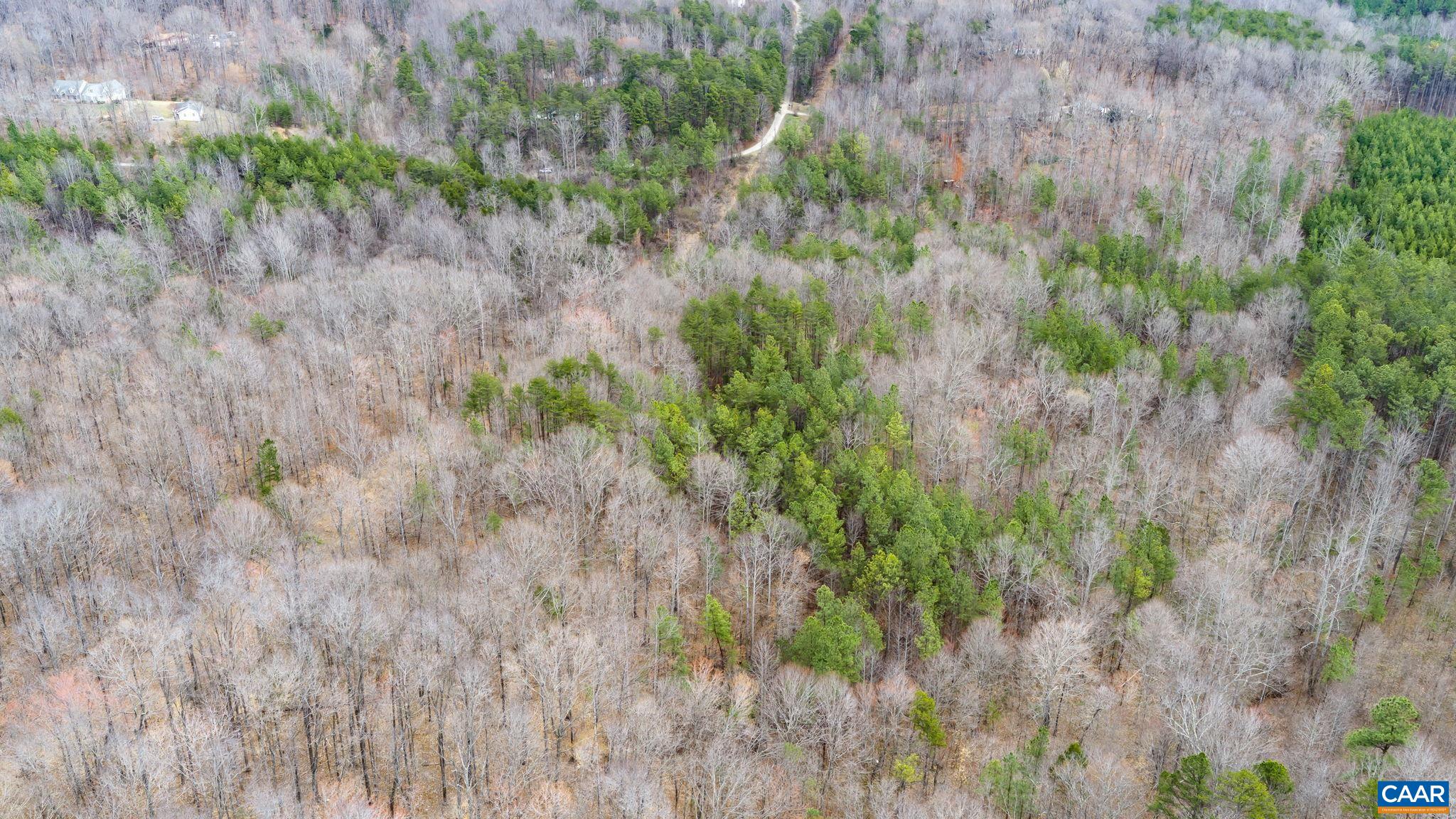 Sharon Road Esmont, VA 22937 - Photo 11 of 25