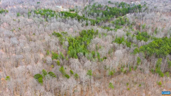 a view of a lush green field with a tree in the background
