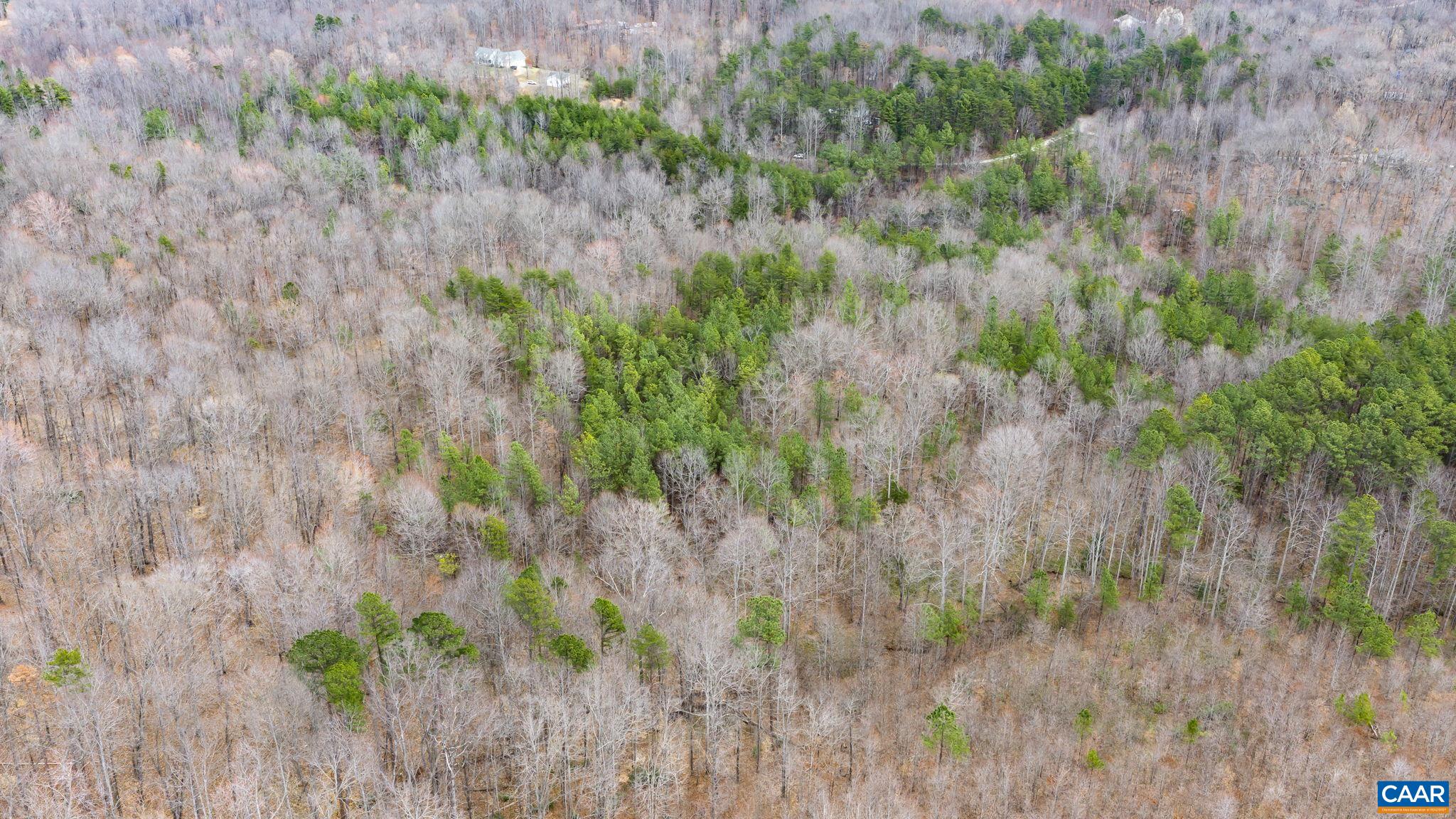 Sharon Road Esmont, VA 22937 - Photo 12 of 25