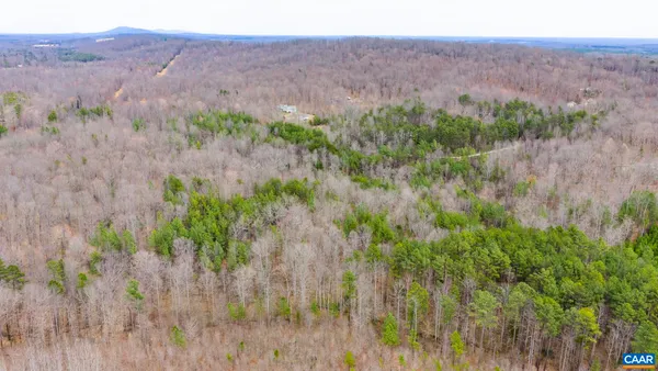 a view of a lush green field with a tree in the background