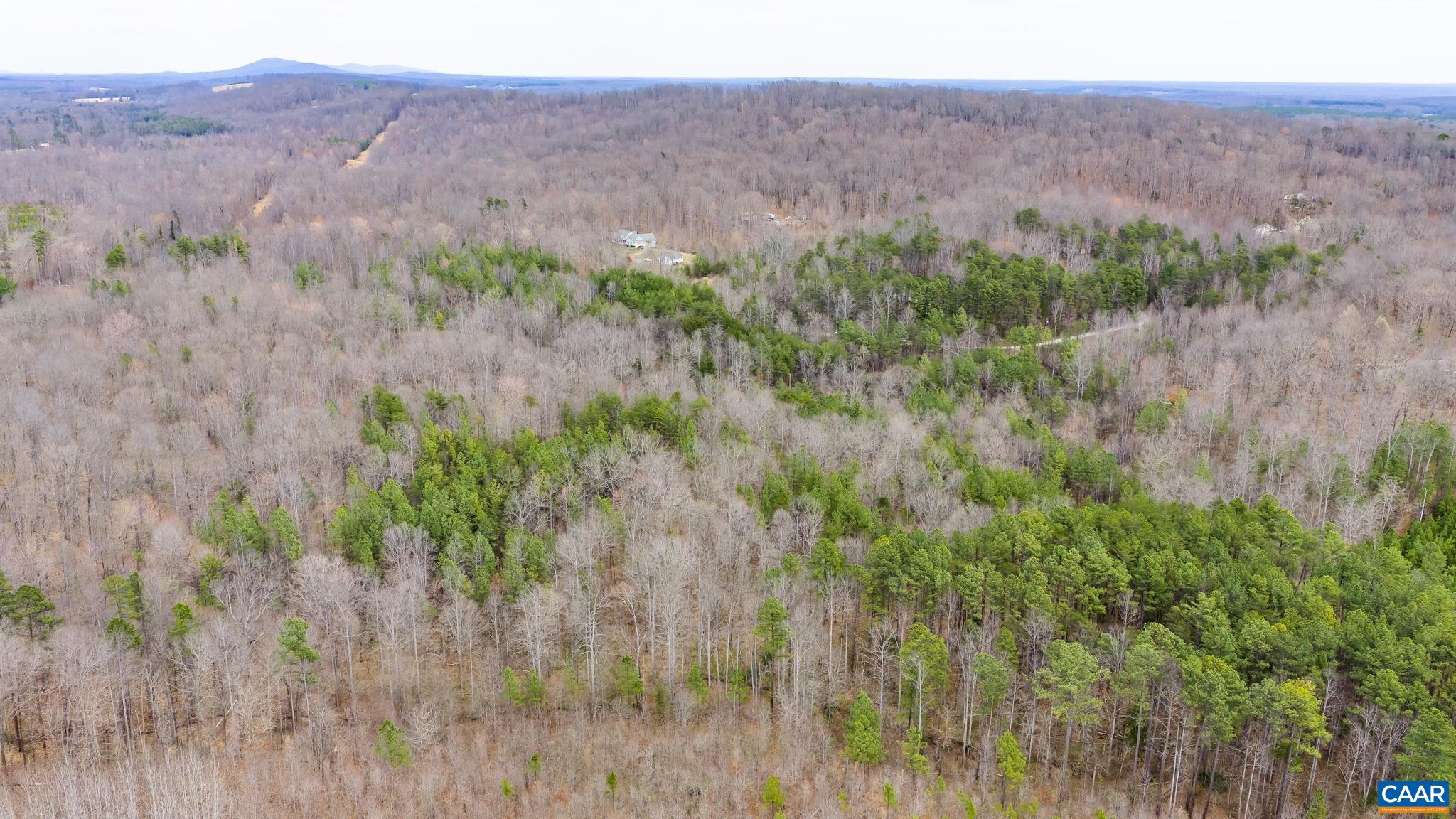 Sharon Road Esmont, VA 22937 - Photo 13 of 25