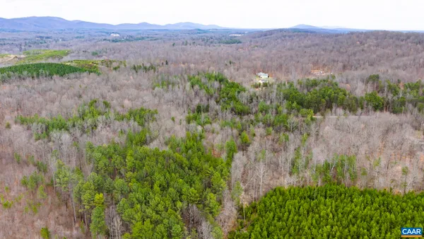 a view of a garden with a tree