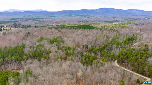 a view of a lush green hillside and a houses