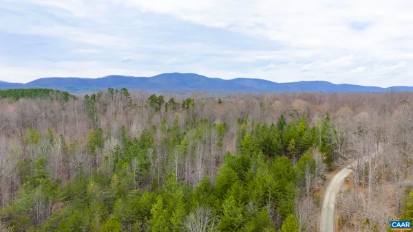 a view of a lush green forest with a mountain
