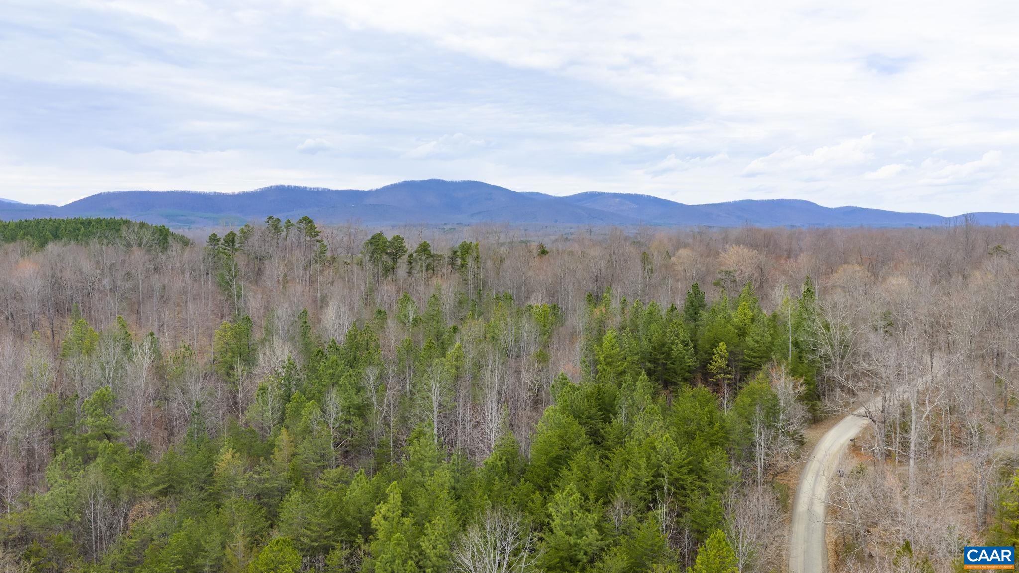Sharon Road Esmont, VA 22937 - Photo 2 of 25