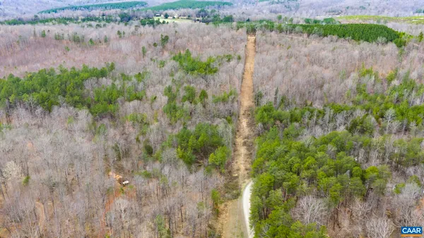 a backyard of a house with lots of plants and trees