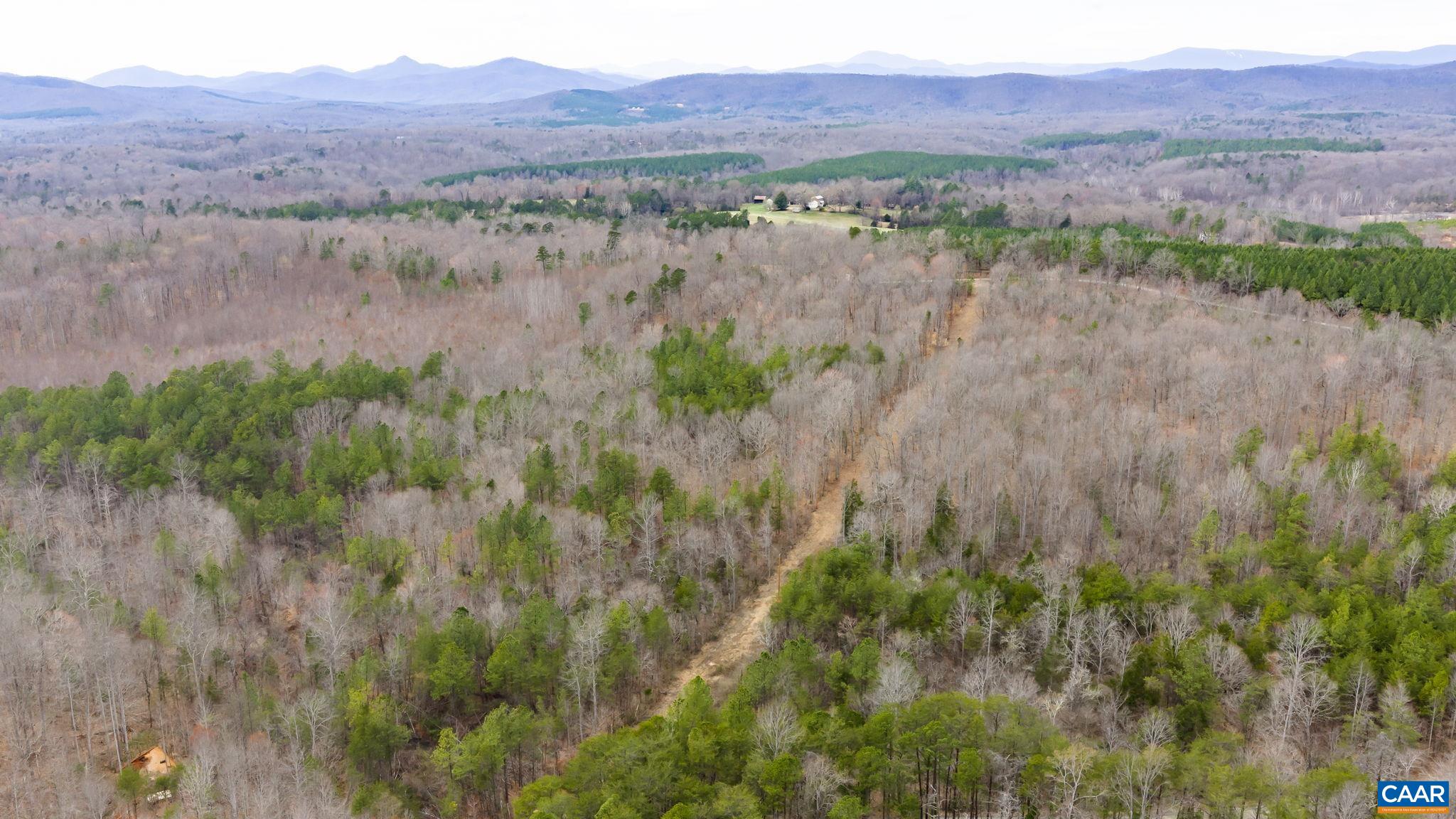 Sharon Road Esmont, VA 22937 - Photo 23 of 25