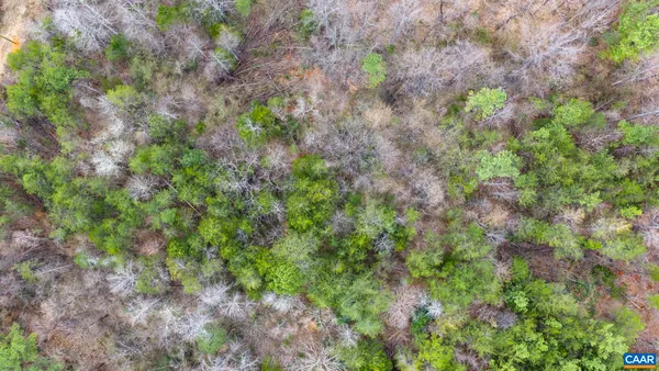 $95,000 | Sharon Road, Esmont, VA 22937