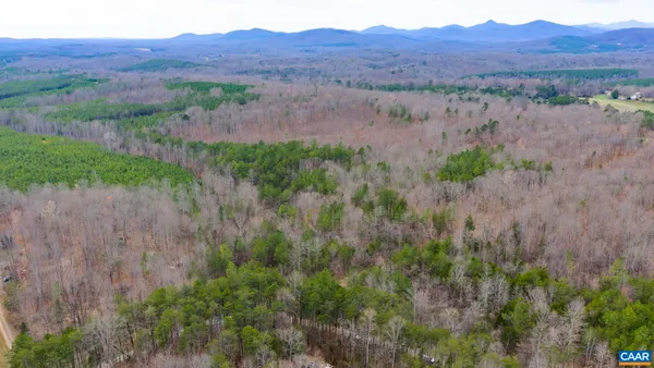 a view of a lush green hillside and a houses