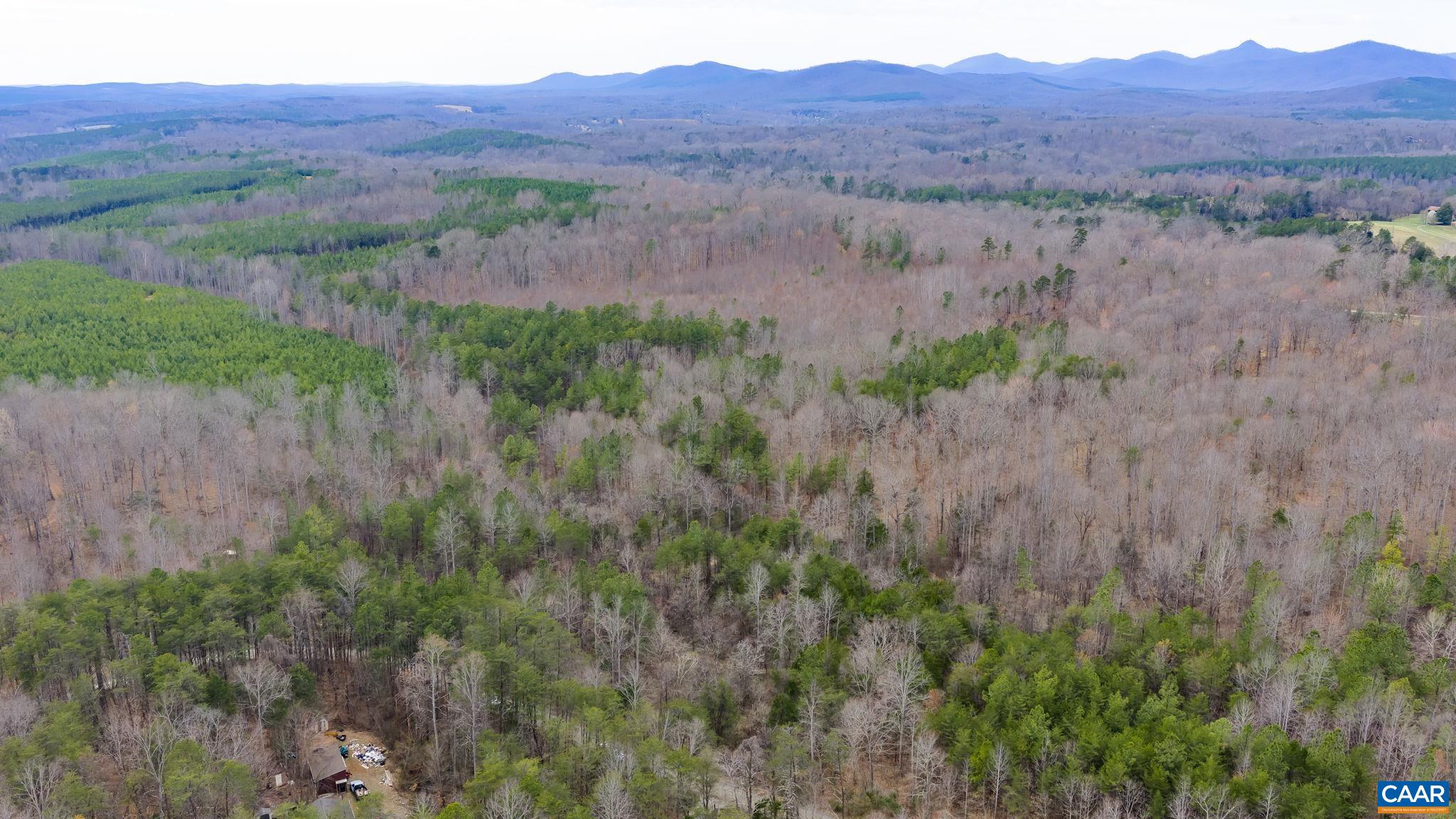 Sharon Road Esmont, VA 22937 - Photo 5 of 25