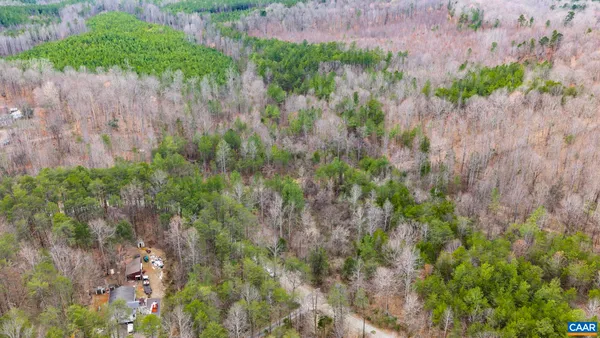 a view of a garden with a tree