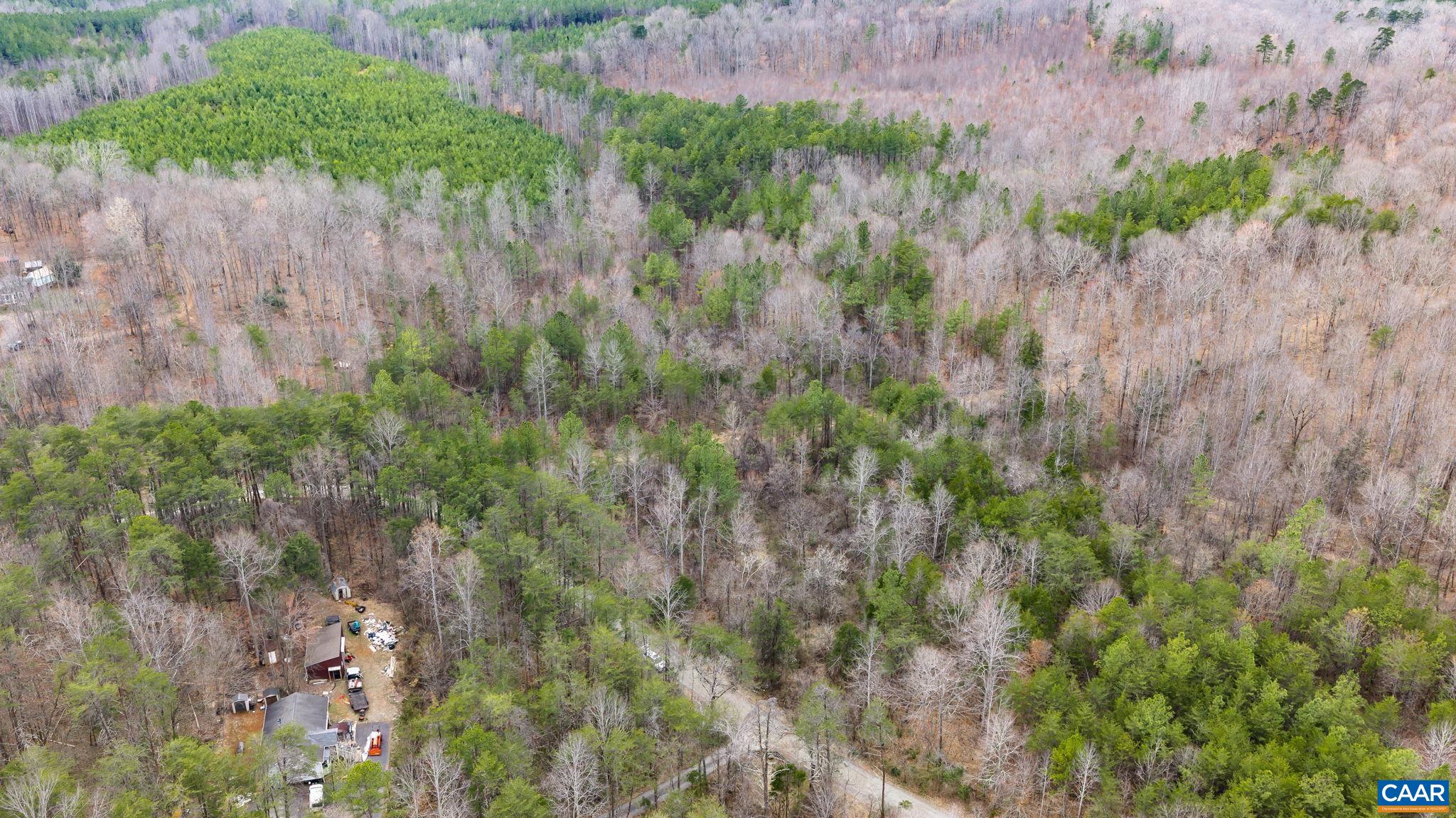 Sharon Road Esmont, VA 22937 - Photo 6 of 25