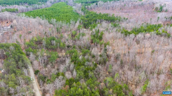 a view of a garden with a tree