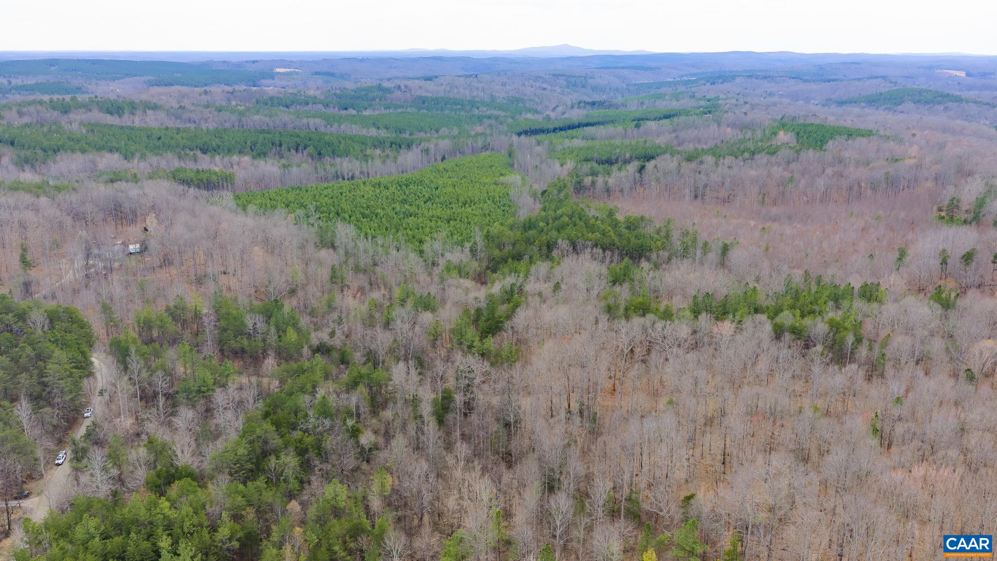 Sharon Road Esmont, VA 22937 - Photo 8 of 25