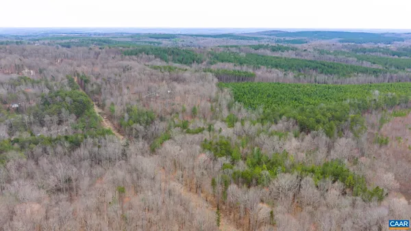 a view of a lush green field