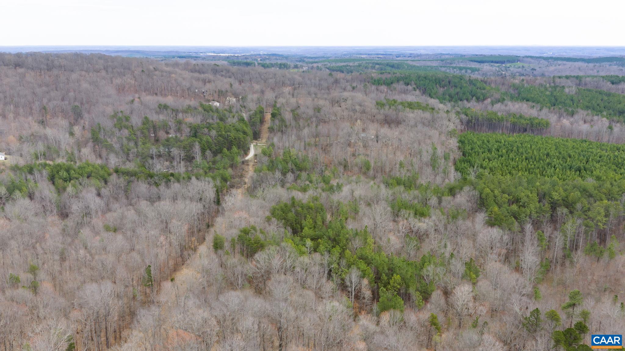 Sharon Road Esmont, VA 22937 - Photo 10 of 25