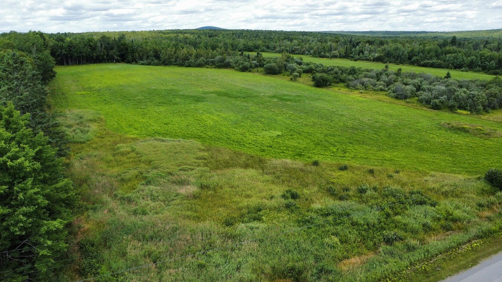 Lot 1 Townline Road Merrill, ME 04780 - Photo 3 of 21 dji_fly_20240722_130552_346_172166811517
