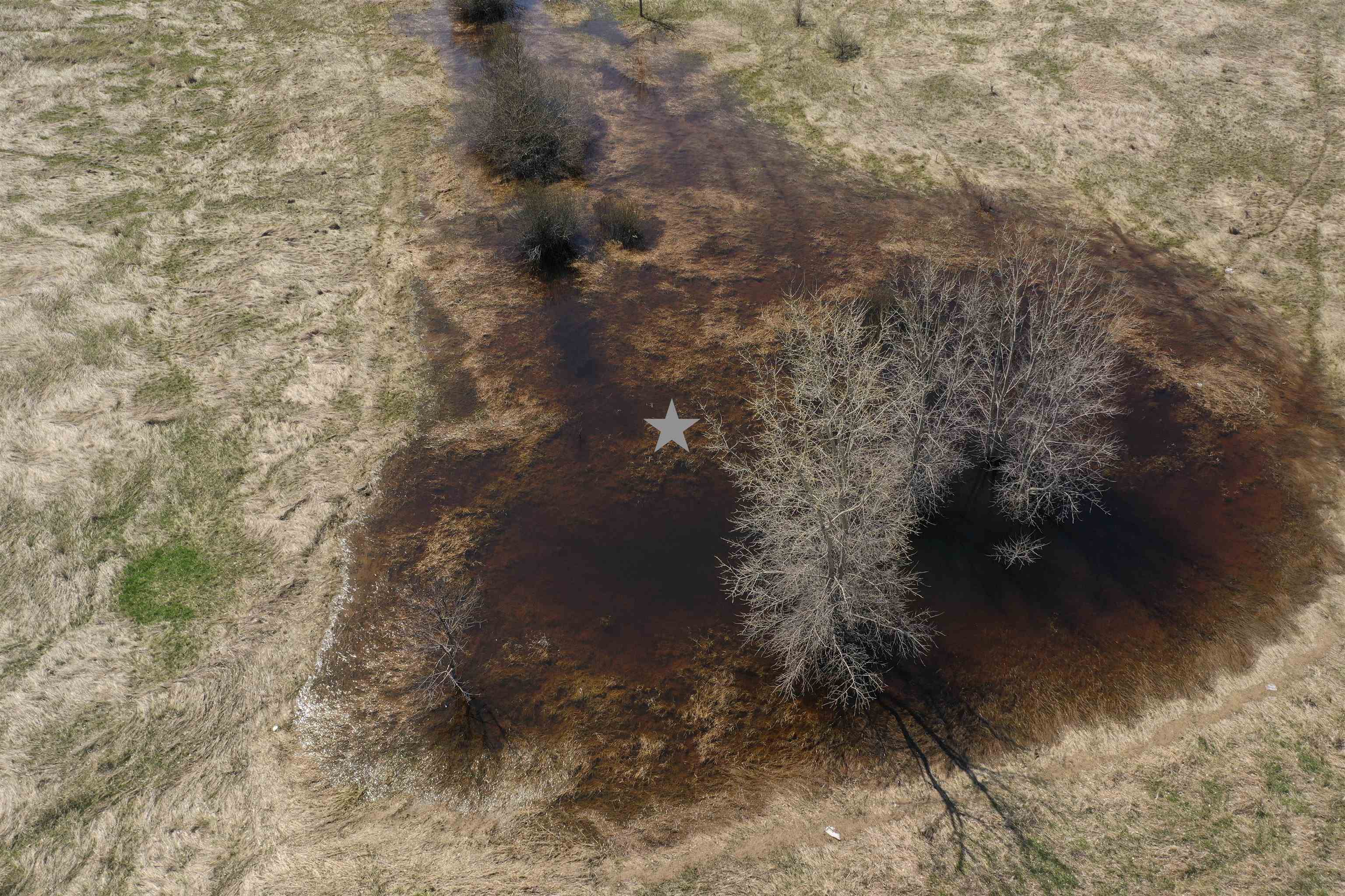 Madson Road Whitelaw, WI 54247 - Photo 13 of 35