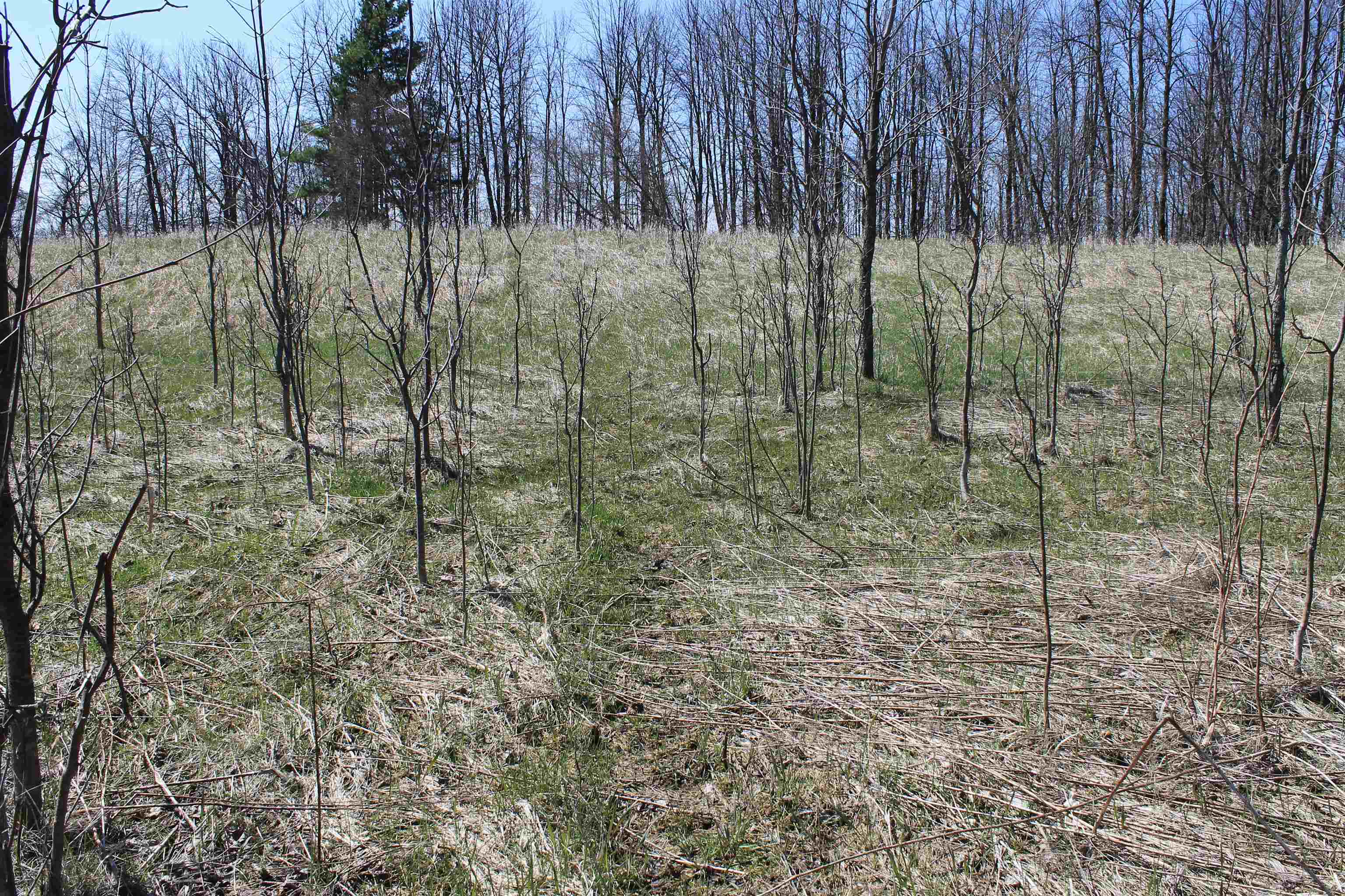 Madson Road Whitelaw, WI 54247 - Photo 18 of 35