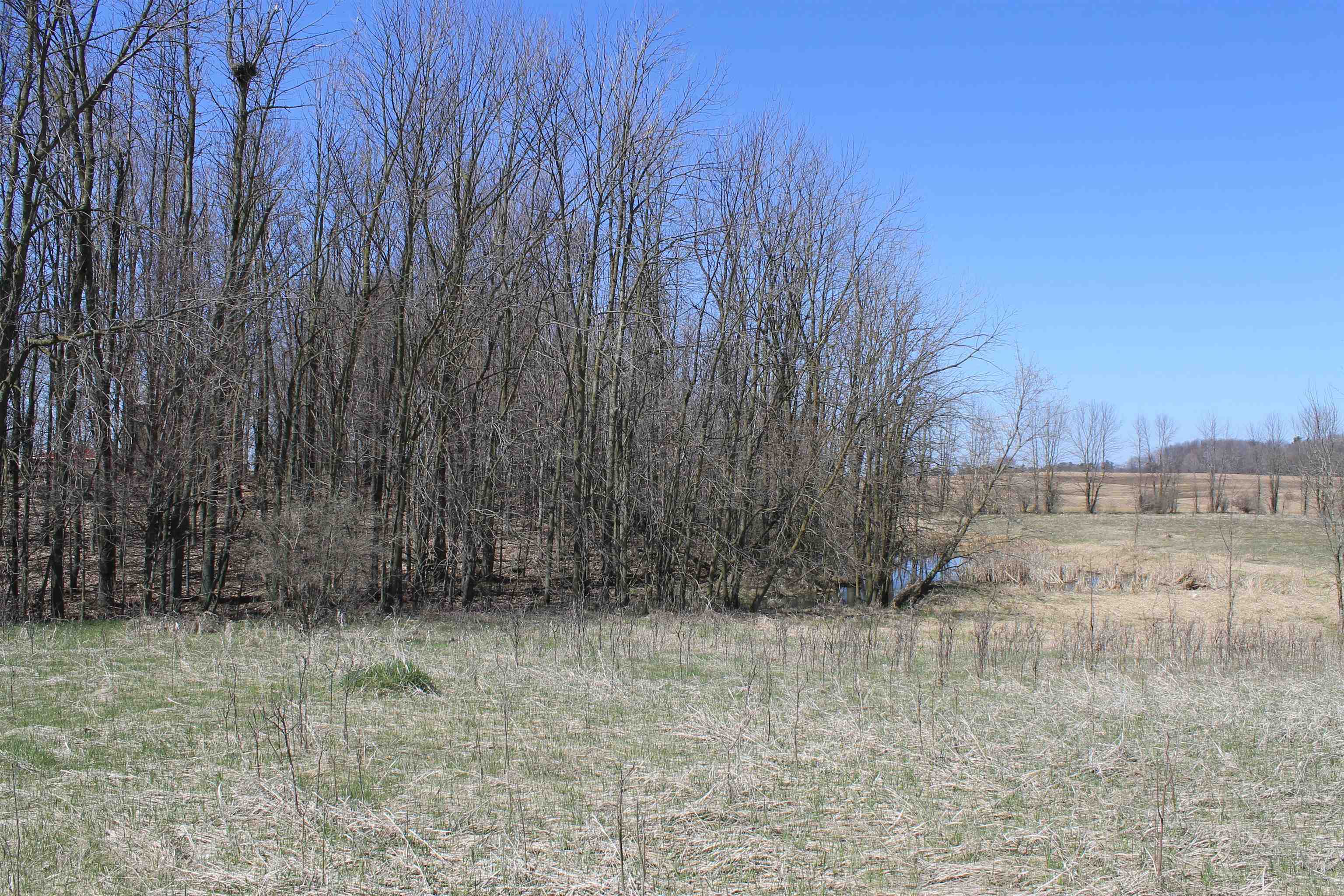 Madson Road Whitelaw, WI 54247 - Photo 19 of 35