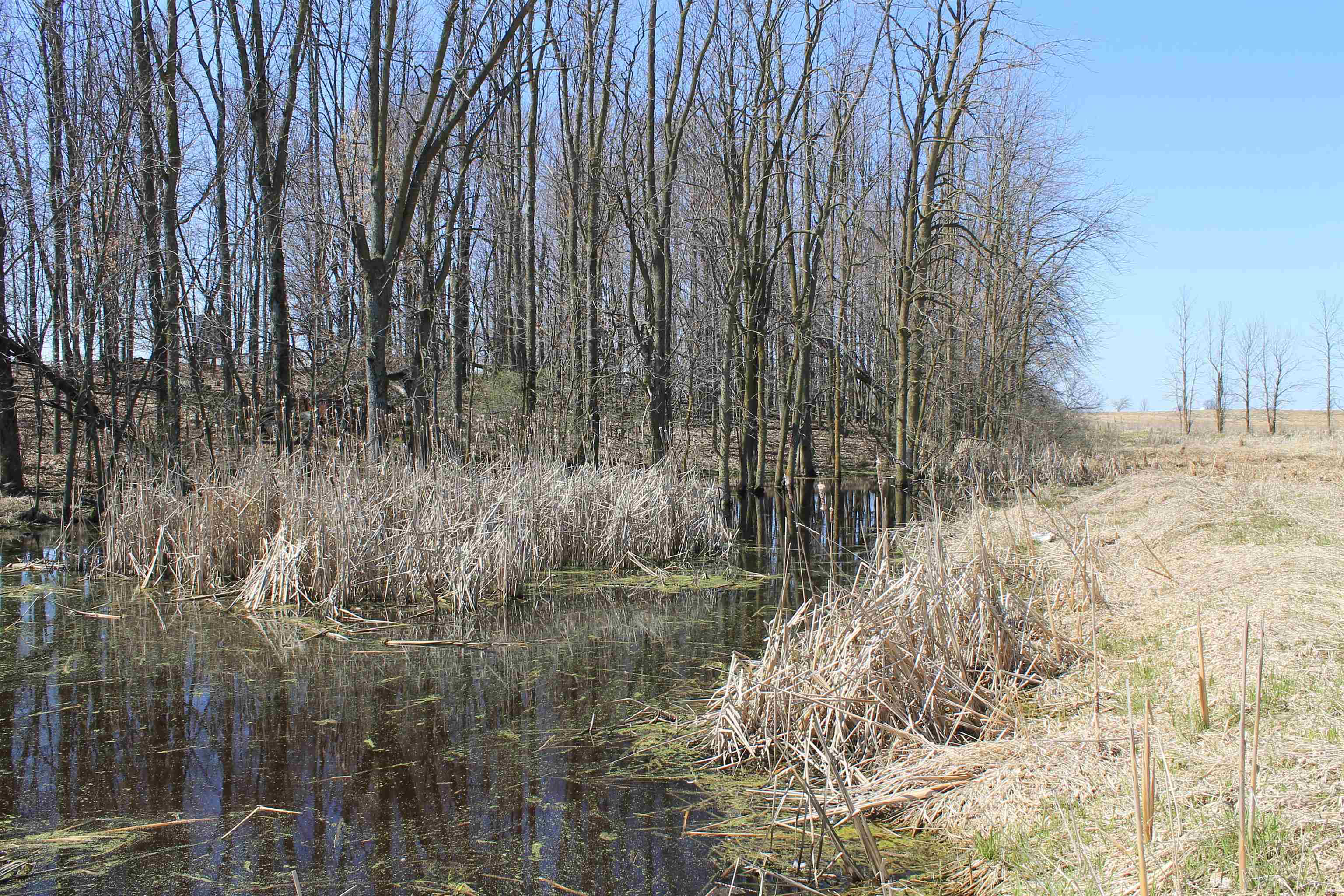 Madson Road Whitelaw, WI 54247 - Photo 20 of 35