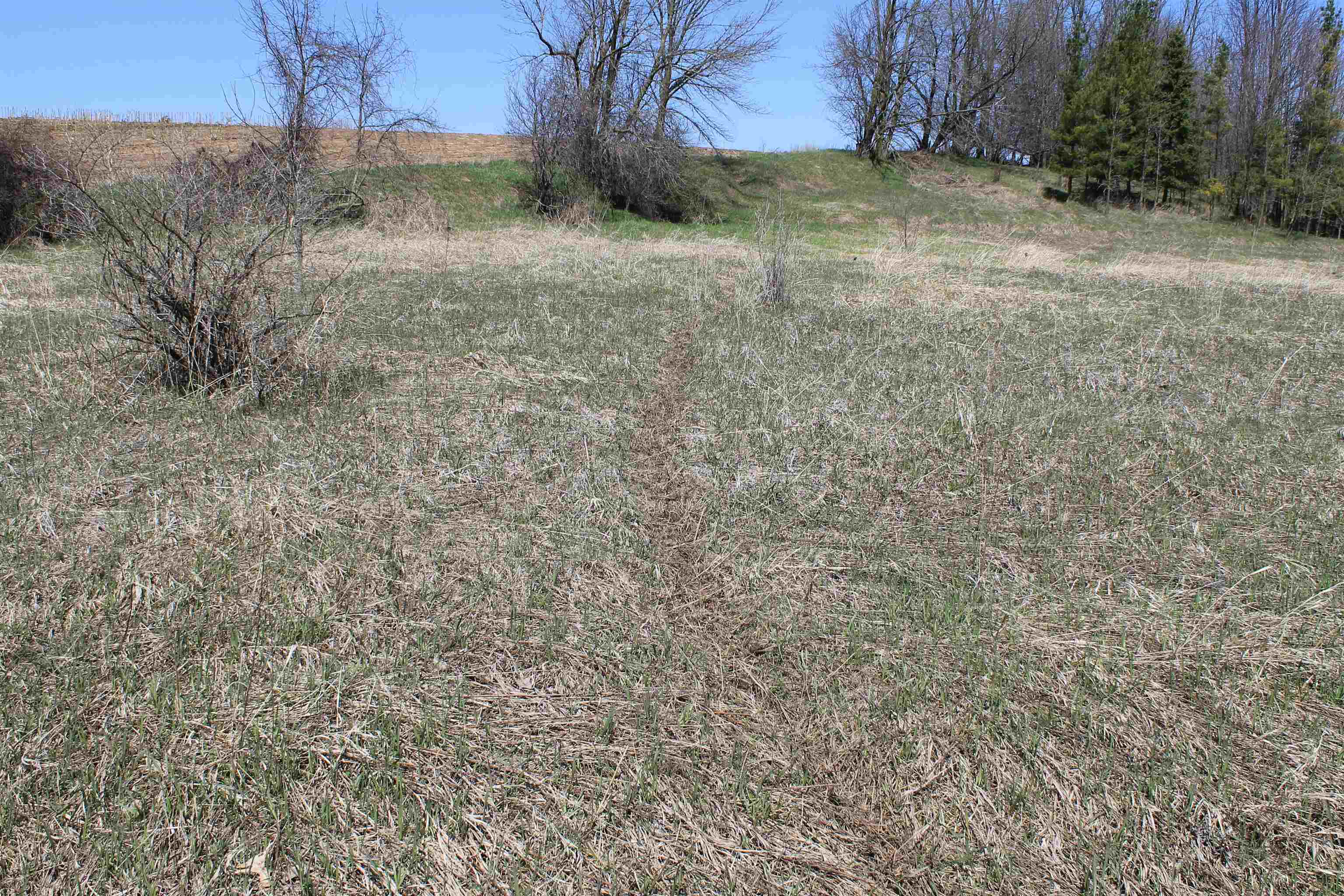 Madson Road Whitelaw, WI 54247 - Photo 22 of 35