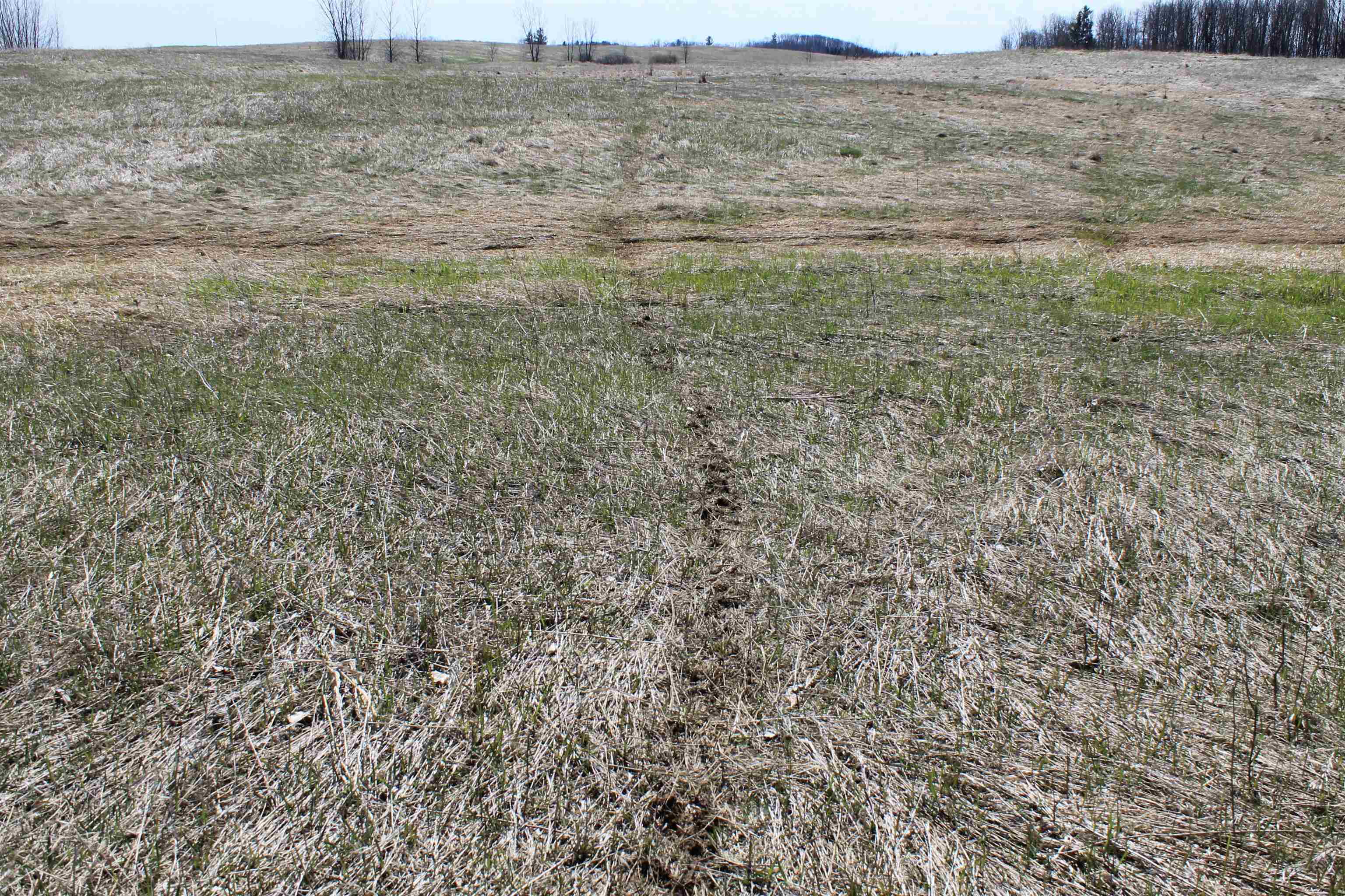 Madson Road Whitelaw, WI 54247 - Photo 23 of 35