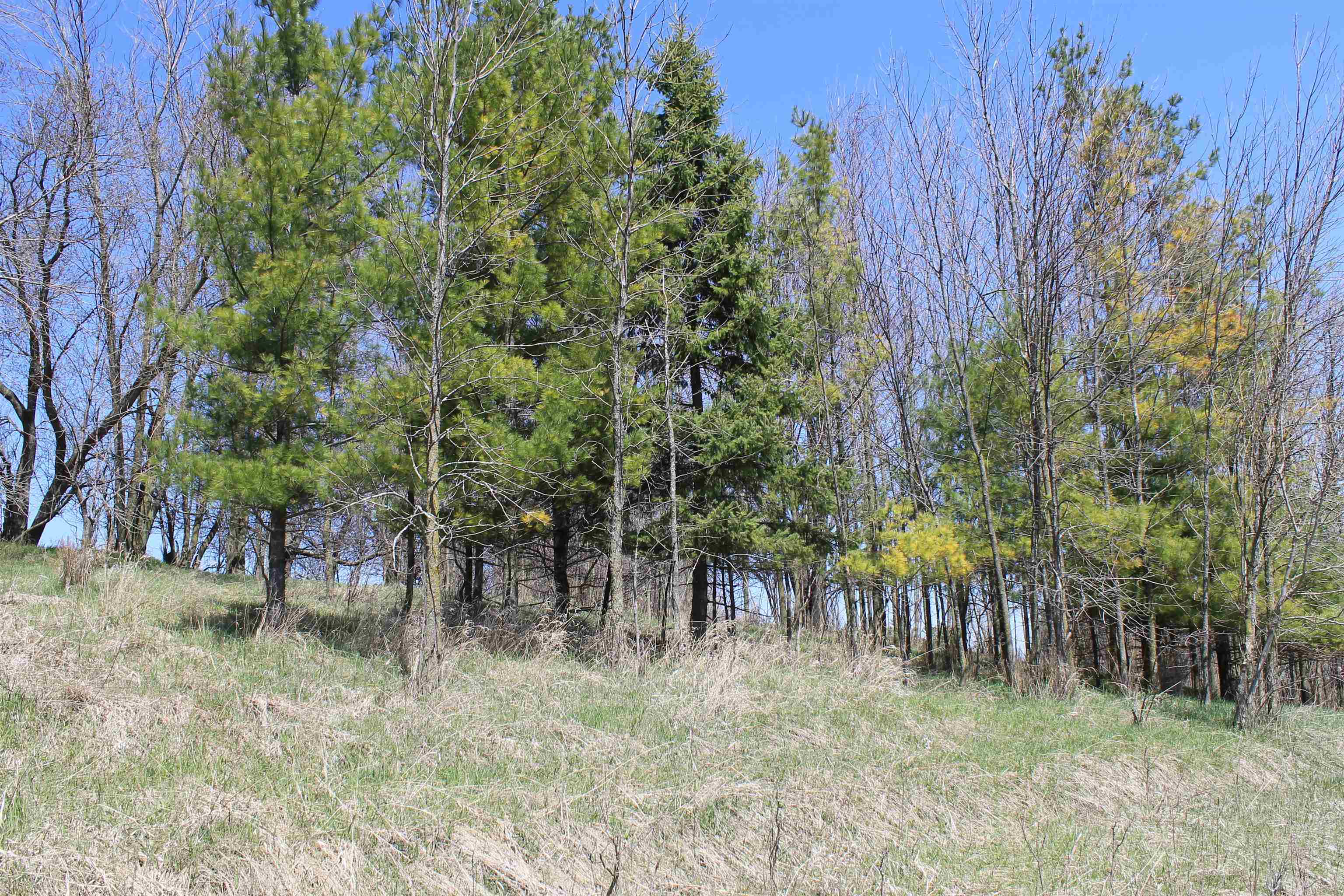 Madson Road Whitelaw, WI 54247 - Photo 24 of 35