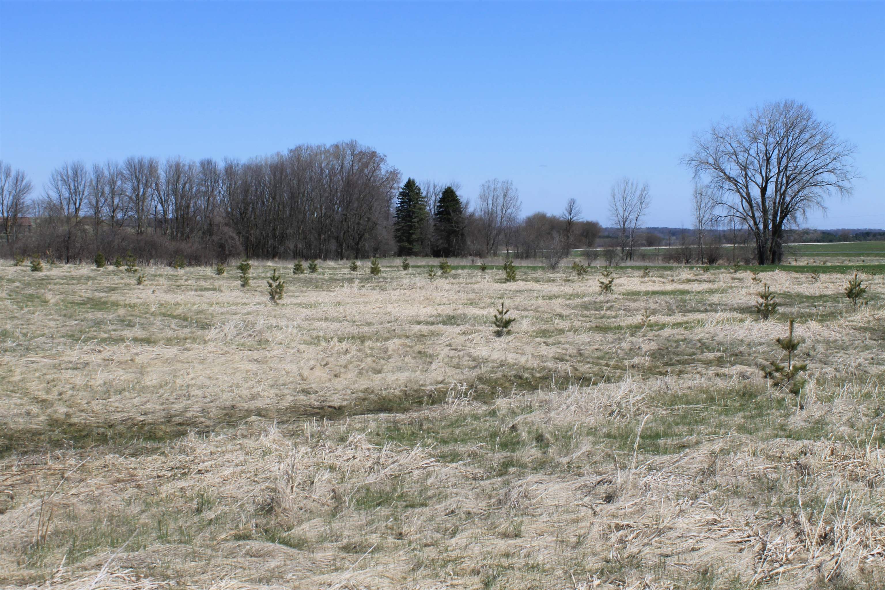 Madson Road Whitelaw, WI 54247 - Photo 26 of 35