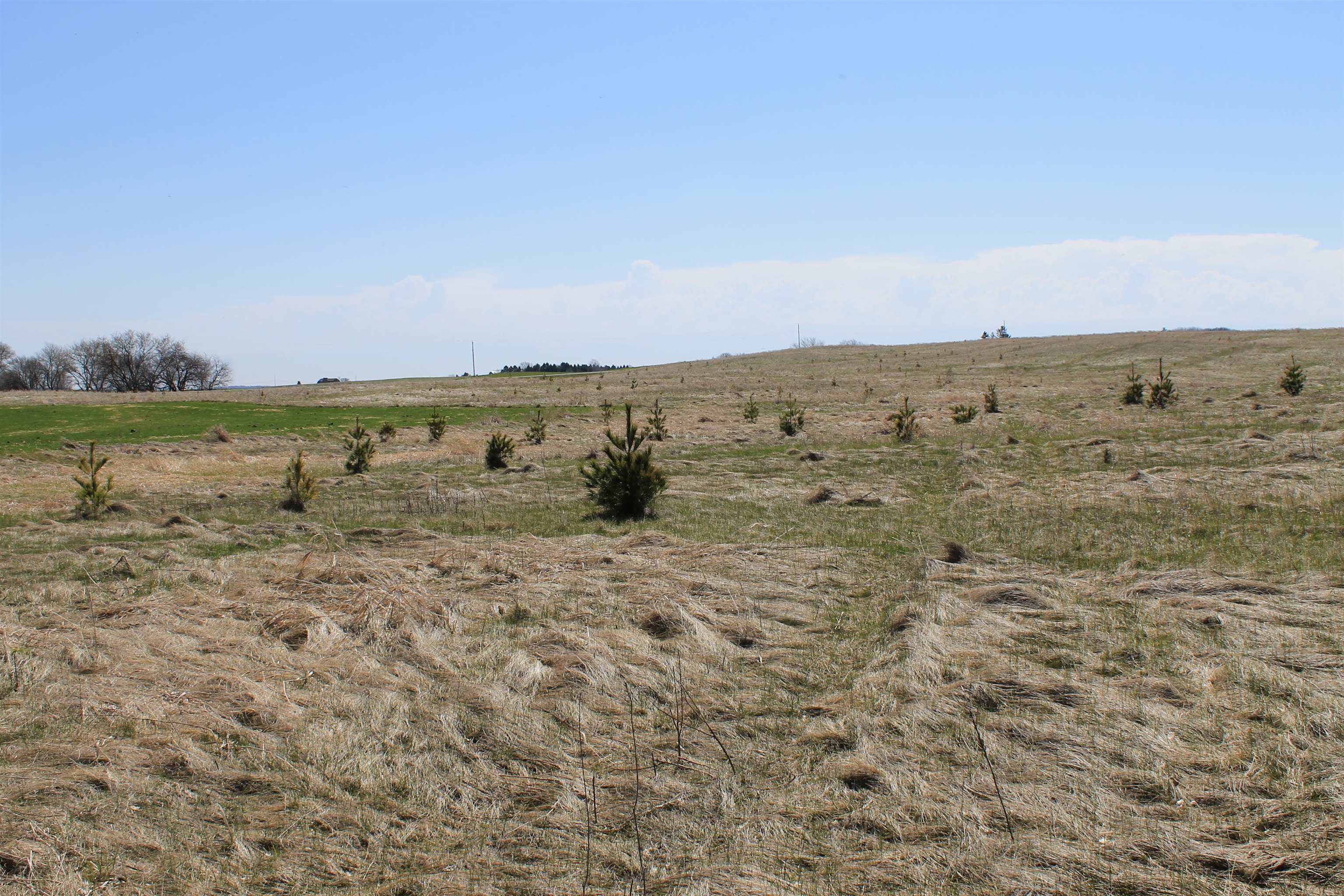 Madson Road Whitelaw, WI 54247 - Photo 27 of 35