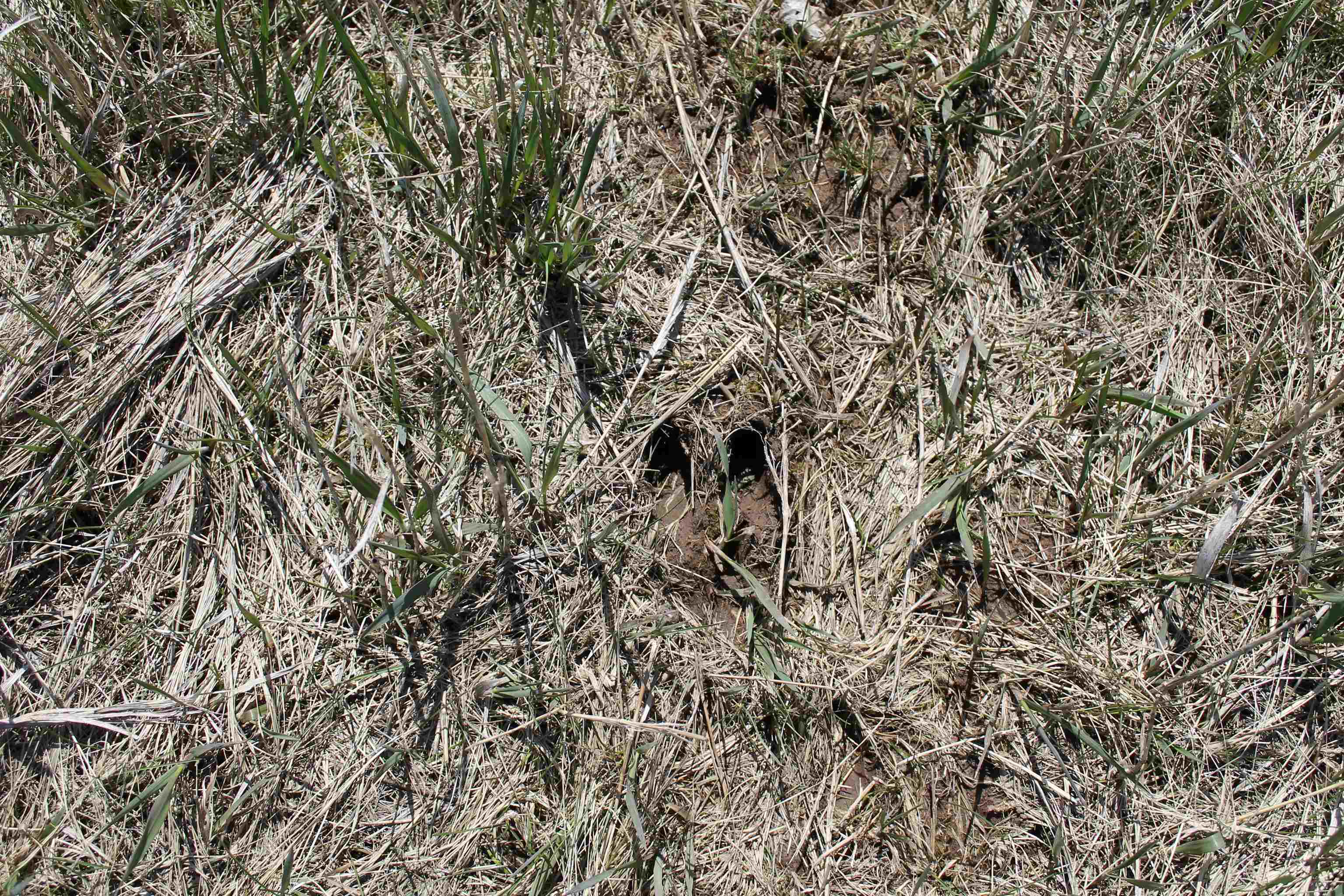 Madson Road Whitelaw, WI 54247 - Photo 28 of 35