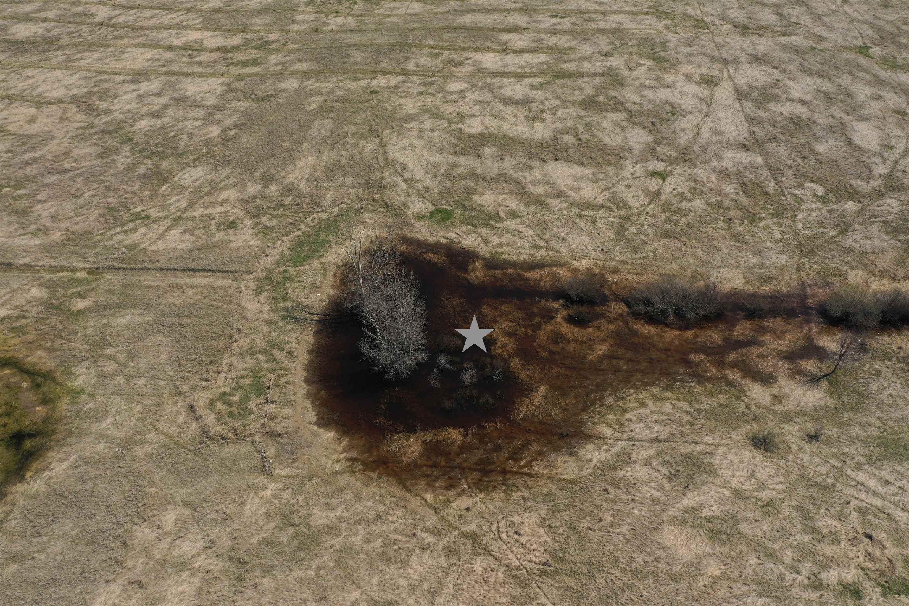 Madson Road Whitelaw, WI 54247 - Photo 9 of 35