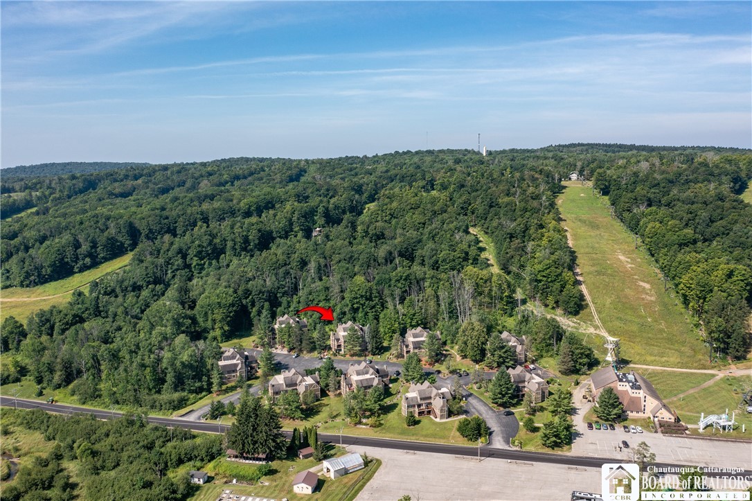 4438 Old Road French Creek, NY 14724 - Photo 6 of 20