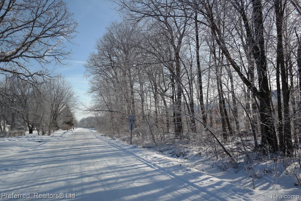 44064 Robson Road Belleville, MI 48111 - Photo 4 of 18 SAM_2248.jpg