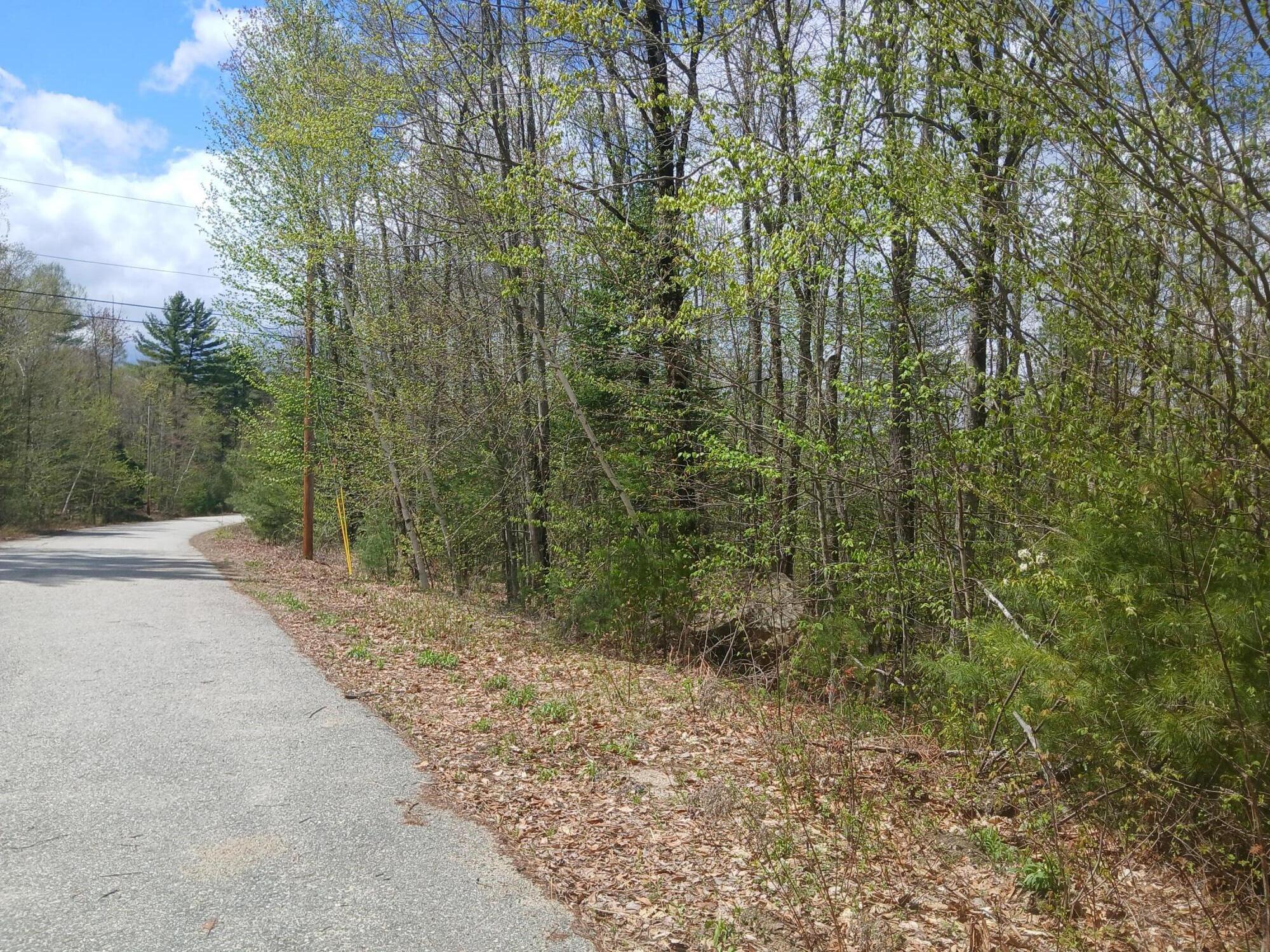 41 Federal Road Fryeburg, ME 04037 - Photo 4 of 12 Lot 41 Federal Rd view