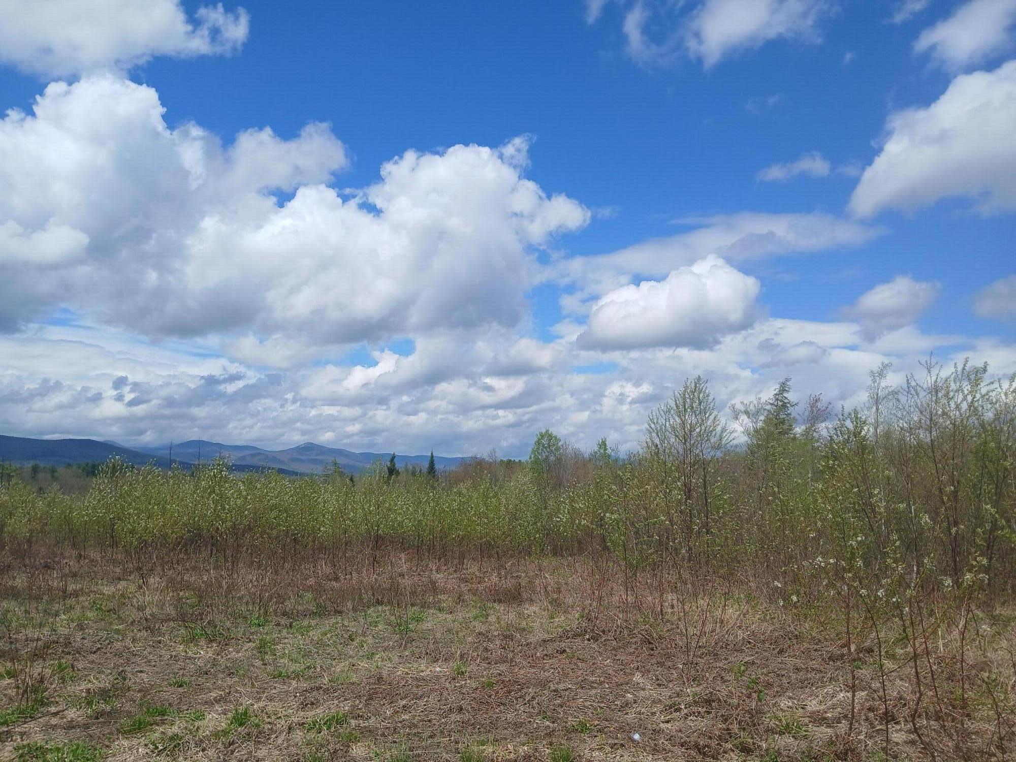 41 Federal Road Fryeburg, ME 04037 - Photo 10 of 12 Lot 41 View from McNeil Rd