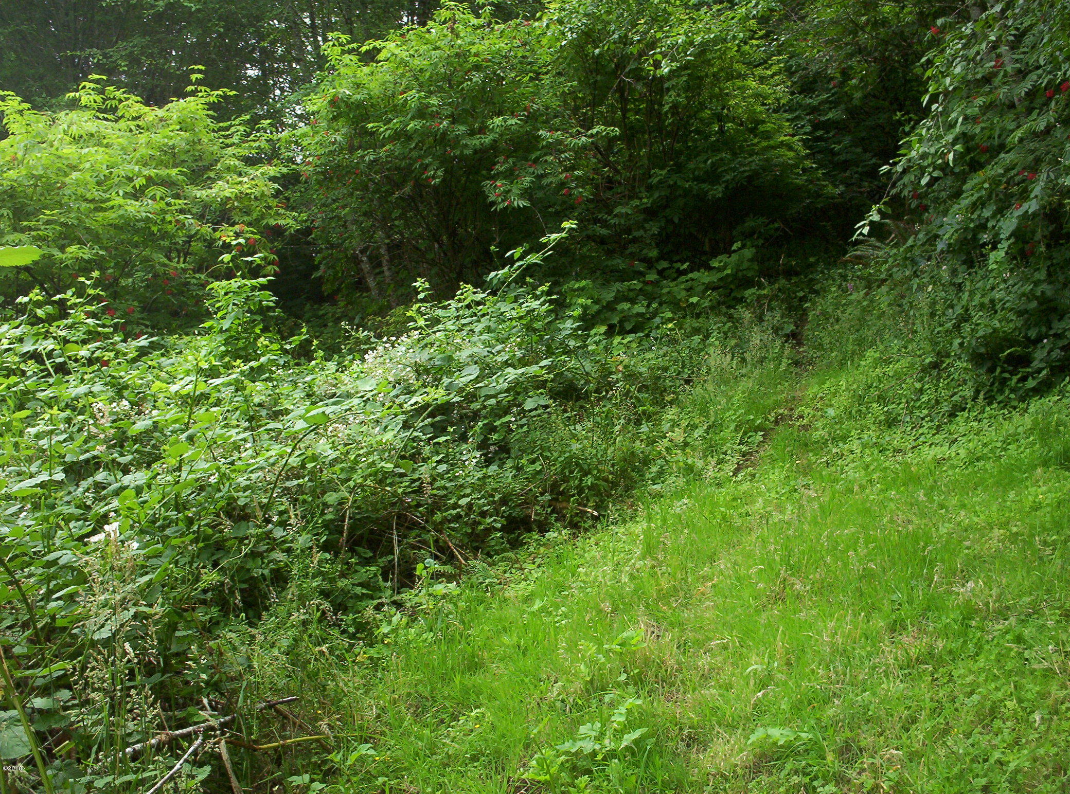 11281-est) Yaquina Bay Road Toledo, OR 97391 - Photo 2 of 3 Lot