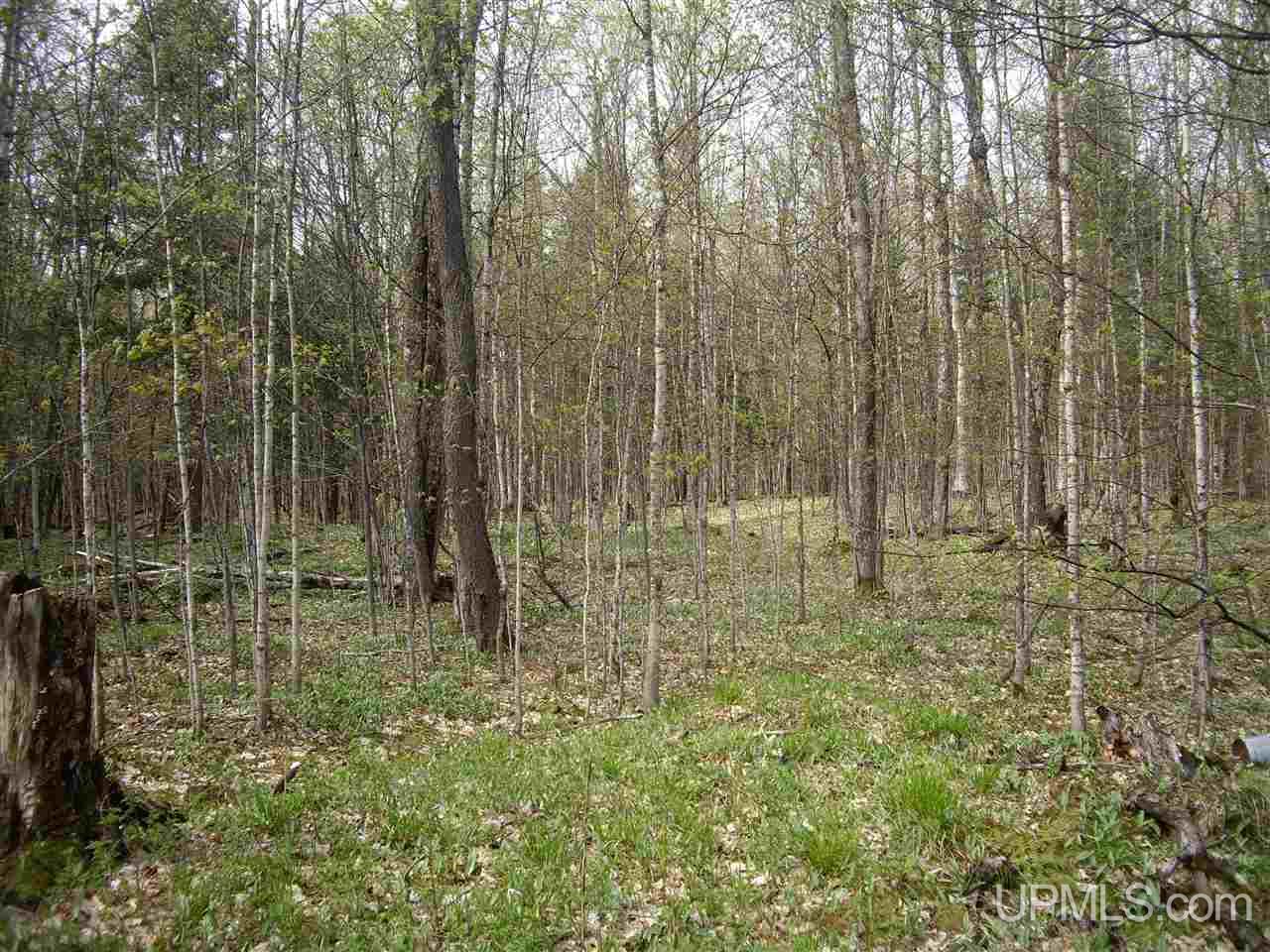 8962 East County 440 Road Wetmore, MI 49895 - Photo 26 of 26 Gallery Image 26