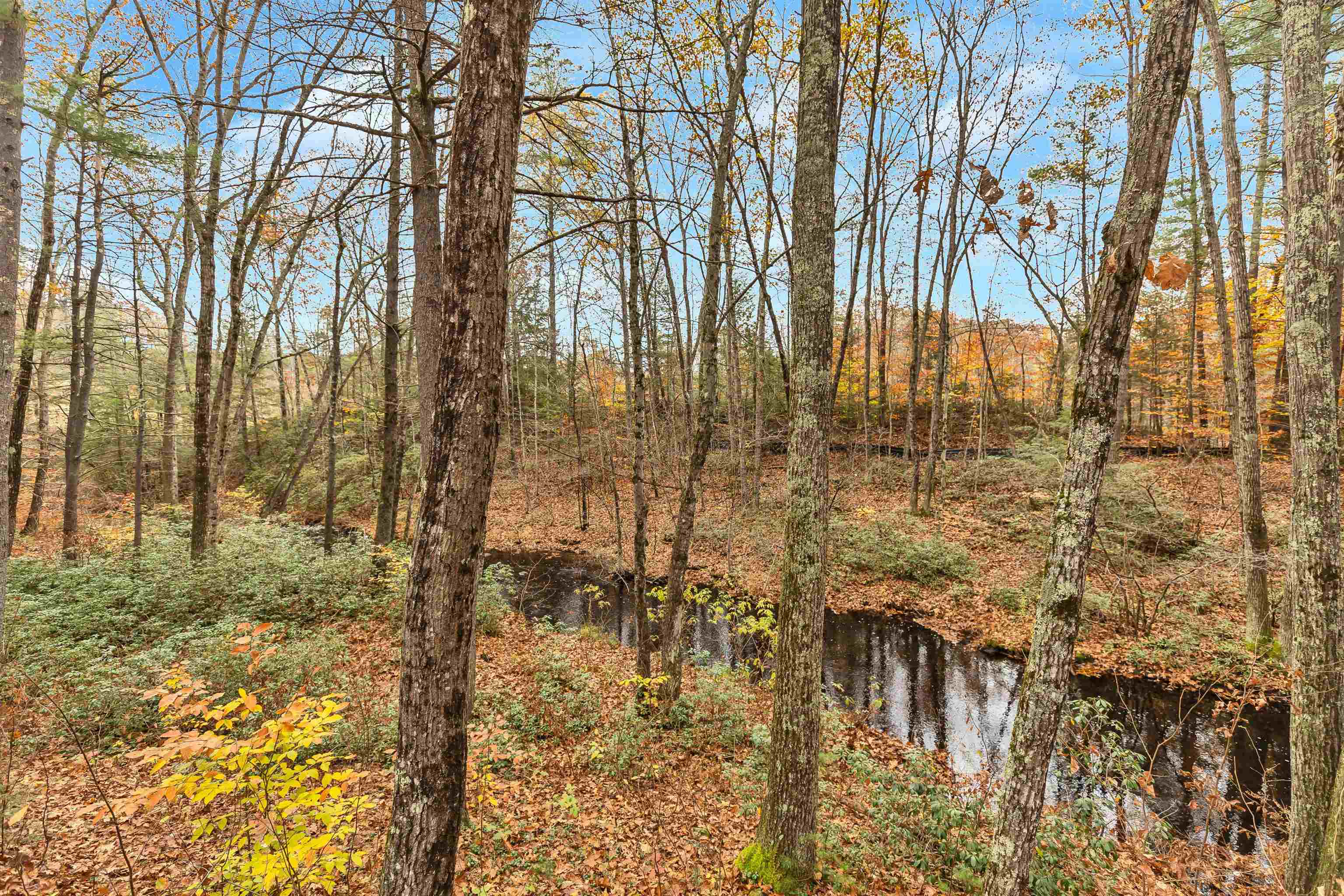 563 Forest Road Wilton, NH 03086 - Photo 39 of 40